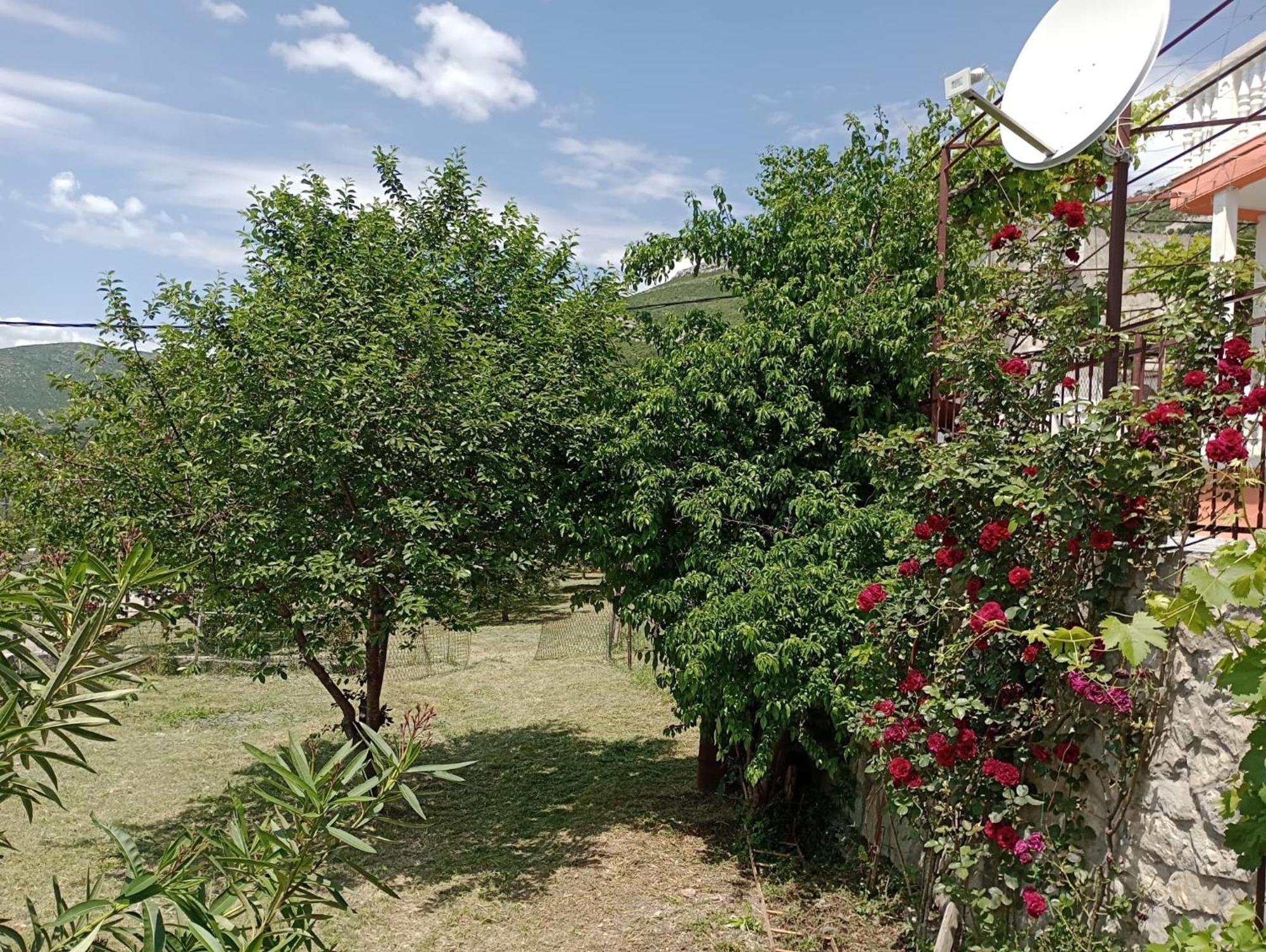 Apartment Natali Kastel Stari Exterior photo